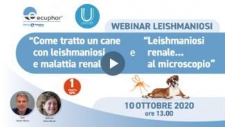 Webinar on Leishmaniasis Webinar on Leishmaniasis