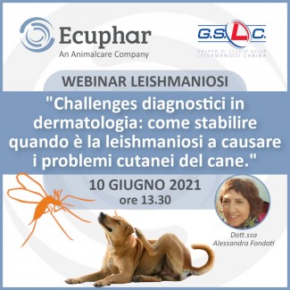 Second Live Webinar on the Canine Leishmaniosis of 2021