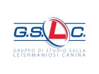 Rinnovato il Consiglio Direttivo del GSLC